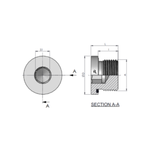 VSTI-M Hollow Hex Plug
