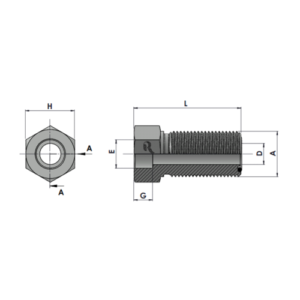 RJFS0406 Bore-MFS Bulkhead
